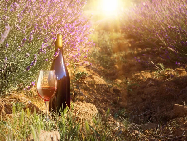 Flasche Wein gegen Lavendellandschaft. — Stockfoto