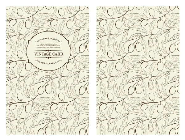 Copertina libro con oliva . — Vettoriale Stock