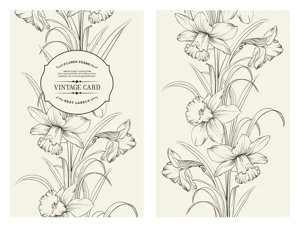 Fiore narciso . — Vettoriale Stock