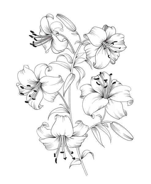 Lily composición de flores . — Vector de stock