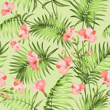 güzel tropik çiçekler.