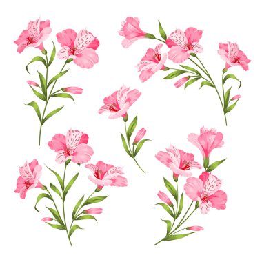 çiçek dalları seti.