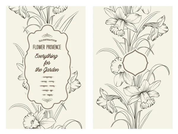 A flor de Daffodil . — Vetor de Stock