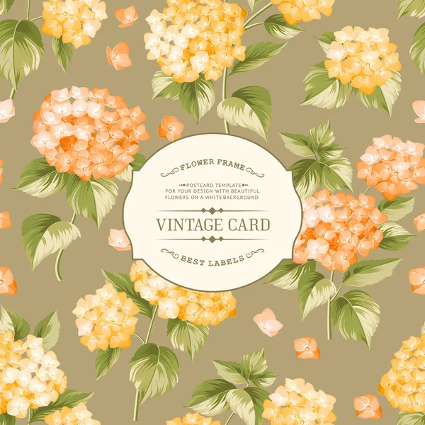 Vintage floral etiket. — Stockvector