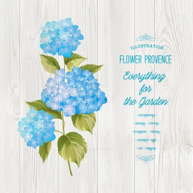 The Hortensia flower.
