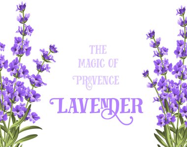 The lavender elegant card. clipart