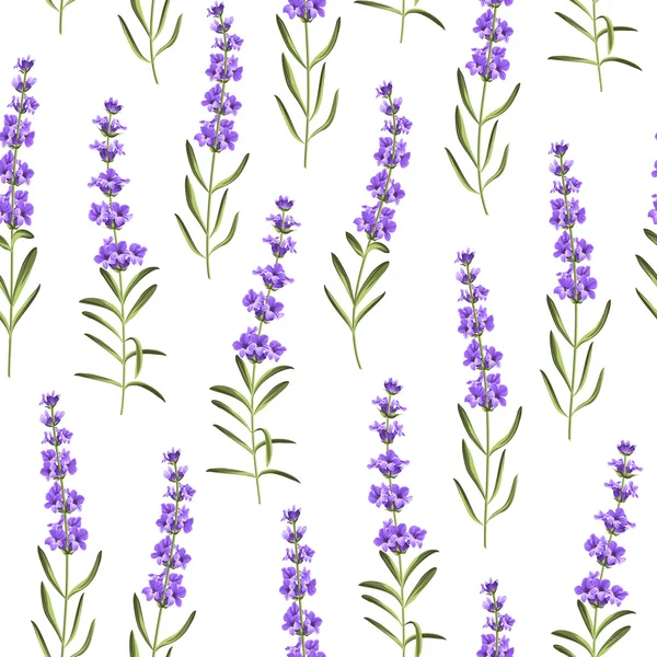 Seamless pattern of lavender flowers. — Stock Vector