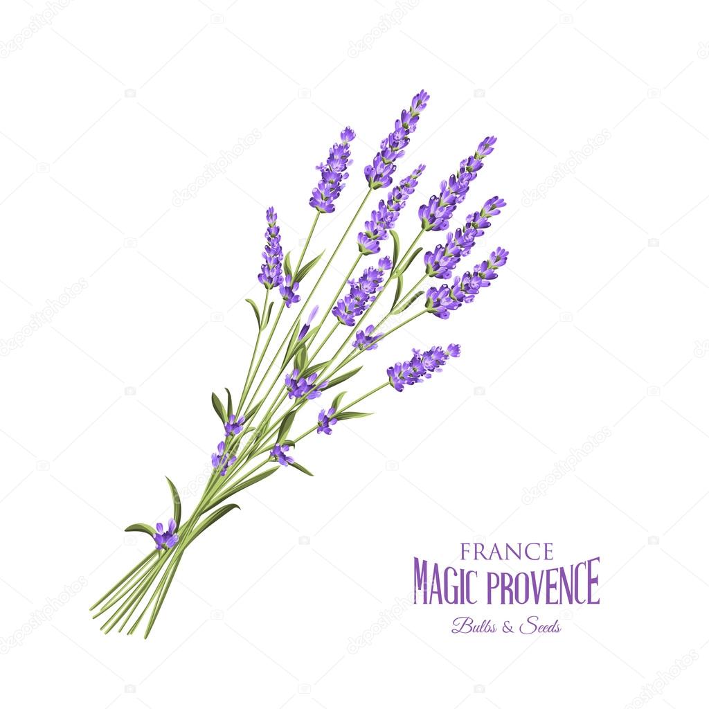 Lavender elegant card.