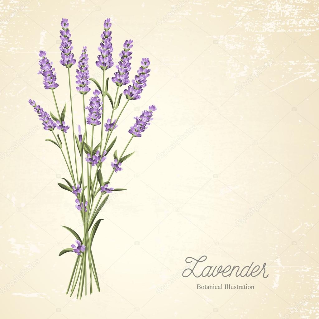 Lavender elegant card.