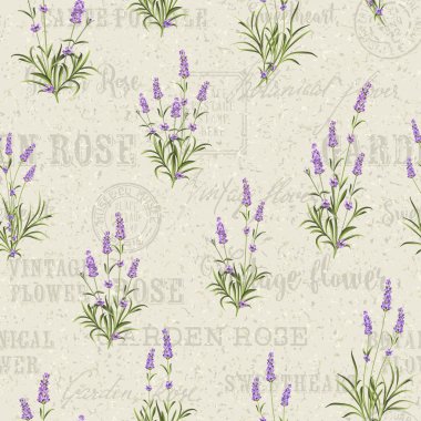 Lavanta sorunsuz kadraj.