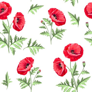 haşhaş çiçek deseni.