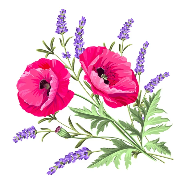 Fondo con amapolas . — Vector de stock