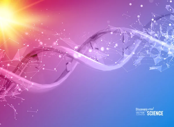 Bir Dna molekülünün caymak çizimi. — Stok Vektör