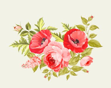 arka plan ile haşhaş.