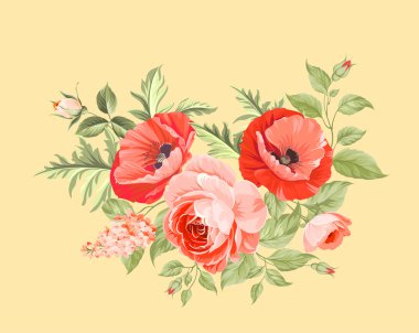 arka plan ile haşhaş.