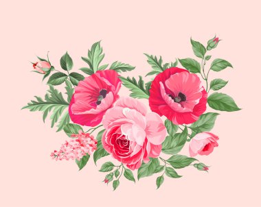 arka plan ile haşhaş.