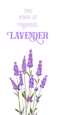 Lavanta zarif kartı