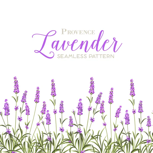 Krans van lavendel. — Stockvector