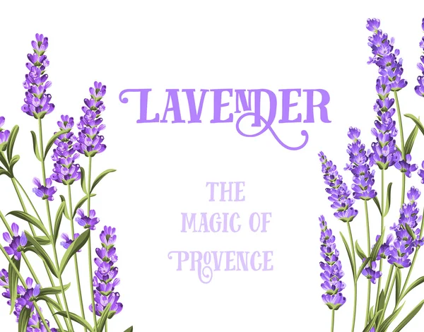 The lavender elegant card. — Stock Vector
