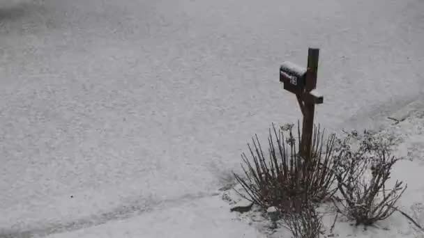 Neige tombant sur la boîte aux lettres Boîte aux lettres à la fin de l'allée dans le quartier rural dans la neige d'hiver, 4k 60fps — Video