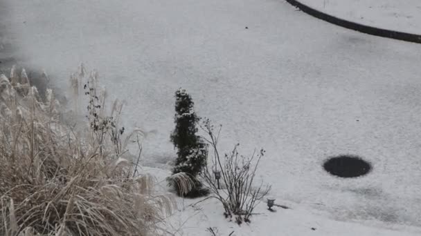 La neve sta cadendo lentamente, bellissimo inverno nel cortile nevicate pesanti — Video Stock