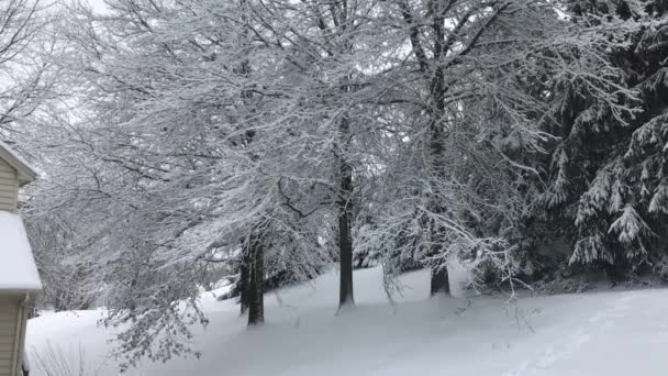 Neve cade in un tranquillo quartiere suburbano in una lussureggiante area boschiva del Nord America nel febbraio 2021 — Video Stock