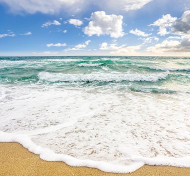 dalgalar deniz kumlu plajda breaking