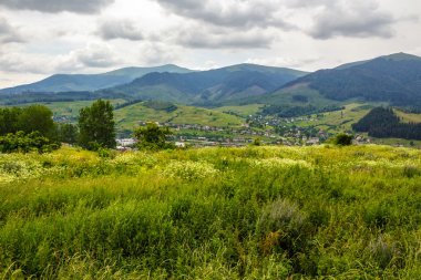 dağ orman ile hillside çayır Köyü