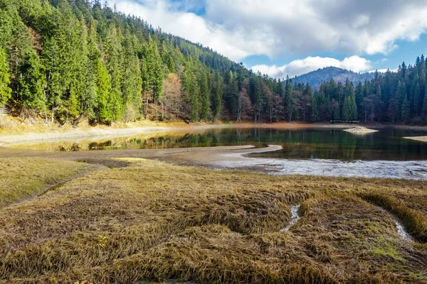 Lago cristalino perto da floresta de pinheiros nas montanhas — Fotografia de Stock