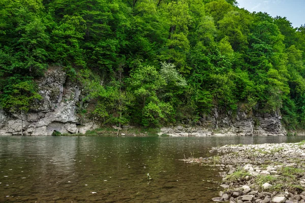 Rzeka Las z kamieni na brzegu — Zdjęcie stockowe