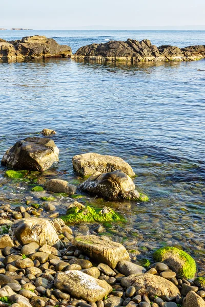 Pedras e algas marinhas na costa rochosa do mar — Fotografia de Stock