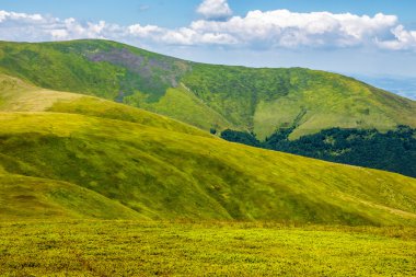 Karpat Dağları'nın yeşil tepeleri