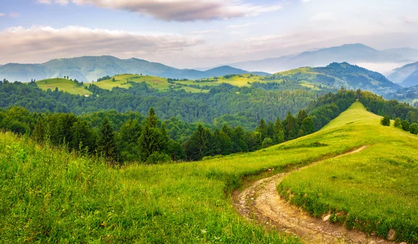 Estrada através da floresta de coníferas nas montanhas ao nascer do sol — Fotografia de Stock