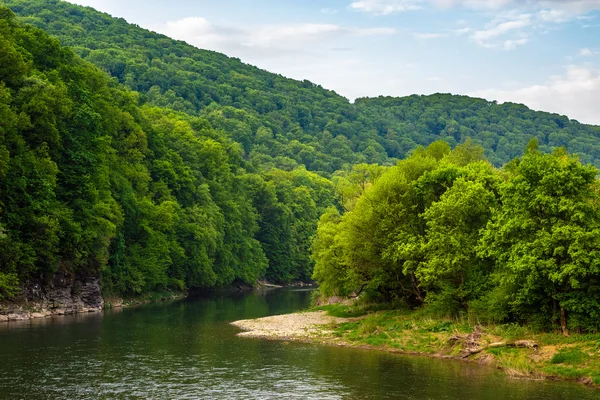 Forest river met stenen op kusten — Stockfoto