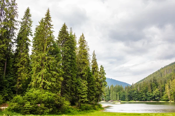 Lake among the forest in mountains — стоковое фото