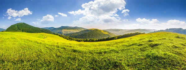 Prairie à flanc de colline en haute montagne — Photo