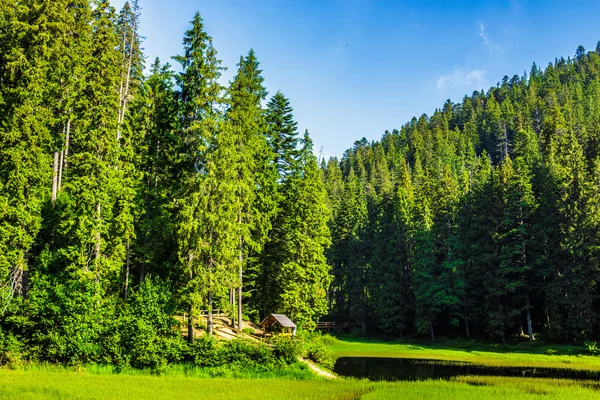 Lake among the forest in mountains — Stock Photo, Image