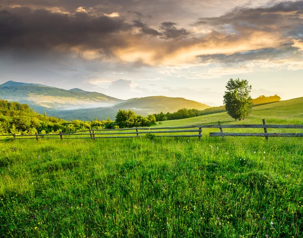 Fence on hillside meadow in mountain at sunrise — Stock Photo, Image