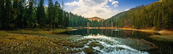 Lago cristalino perto da floresta de pinheiros nas montanhas — Fotografia de Stock