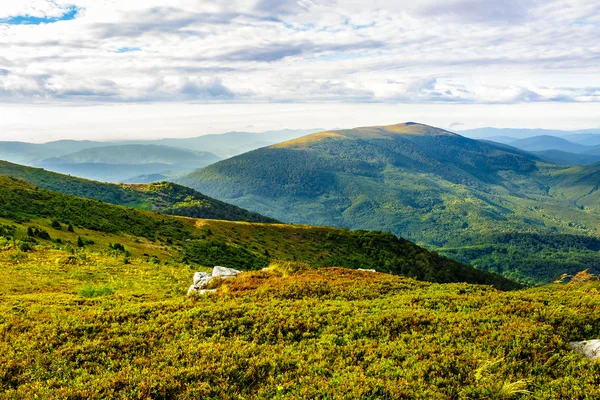 Boulders on the mountain meadow — Stock Photo, Image