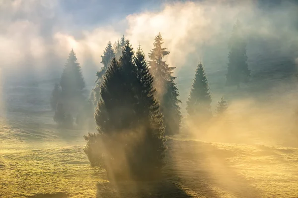 Nevoeiro no nascer do sol quente nas montanhas — Fotografia de Stock