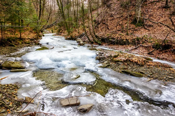 Замерзшая река в лесу — стоковое фото