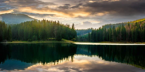 Pinède et lac près de la montagne tôt le matin — Photo