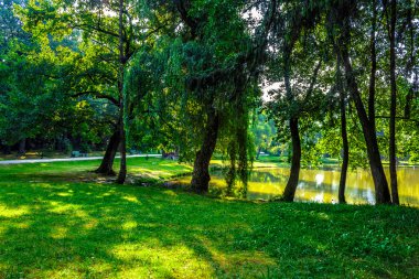 ağaçlar yakınındaki bir su birikintisi içinde Şehir Parkı