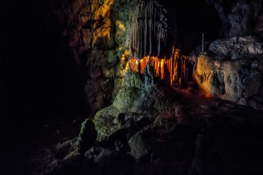 Ursus spelaeus Romen dağlar transilvania mağara