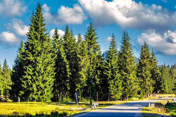 Bergweg in herfst bos — Stockfoto