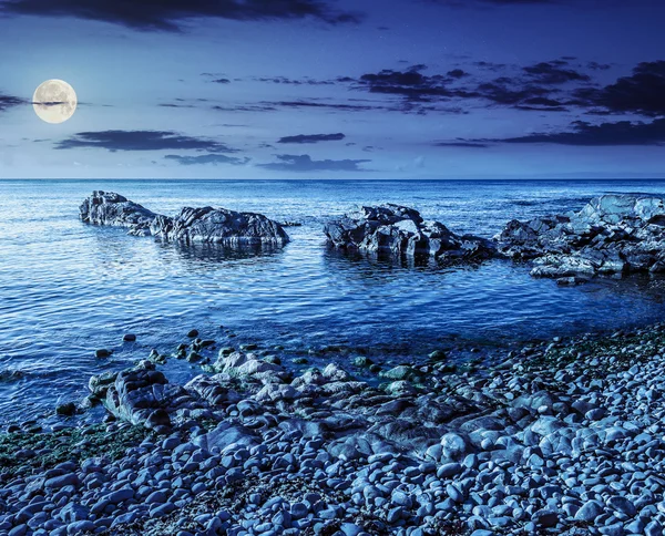 Rocky sea coast with seaweed at night — Stock Photo, Image