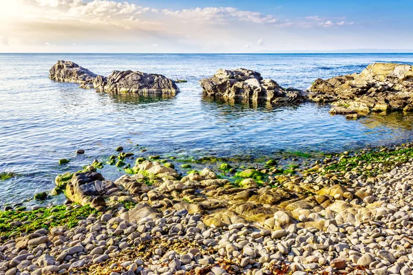 Kamenné moře pobřeží s mořskými řasami — Stock fotografie