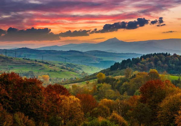 Foresta autunnale su una collina di montagna al tramonto — Foto Stock