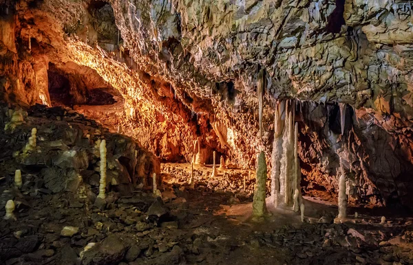 Grotte Ursus spelaeus dans les montagnes roumaines transilvania — Photo